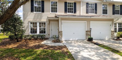 129 Sawtooth Drive, Valrico