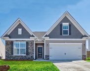 445 Dolomite Court, Chapin image