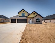 869 Bellagiola  Avenue, Tontitown image