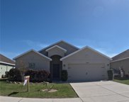 30894 Water Lily Drive, Brooksville image