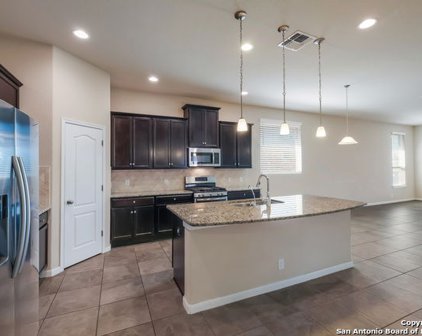 22515 Carriage Bush, San Antonio