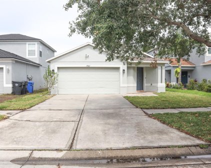 7967 Carriage Pointe Drive, Gibsonton