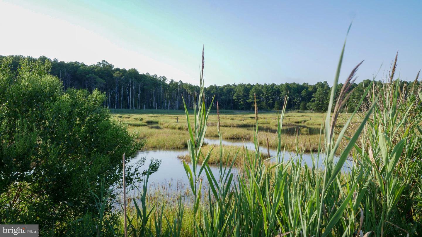 Public Landing Road, Snow Hill MD 21863