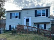 298 Overleaf Ct, Arnold image