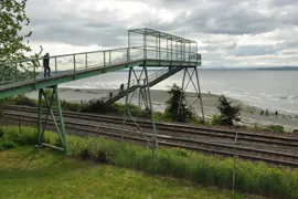bridge