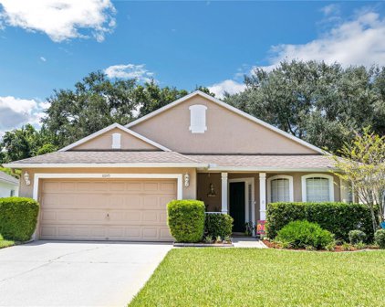 10045 Rivers Trail Drive, Orlando