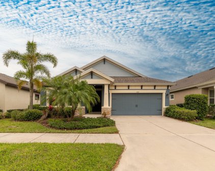 6309 Springline Place, Apollo Beach