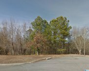 6239 Spring Hollow Road Unit 1, Gardendale image