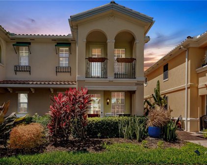 28524 Alessandria Cir, Bonita Springs