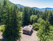 701 Davis Lake Road, Morton image