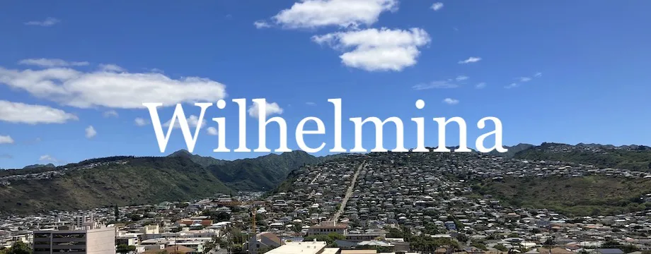 Wilhelmiina Market Report