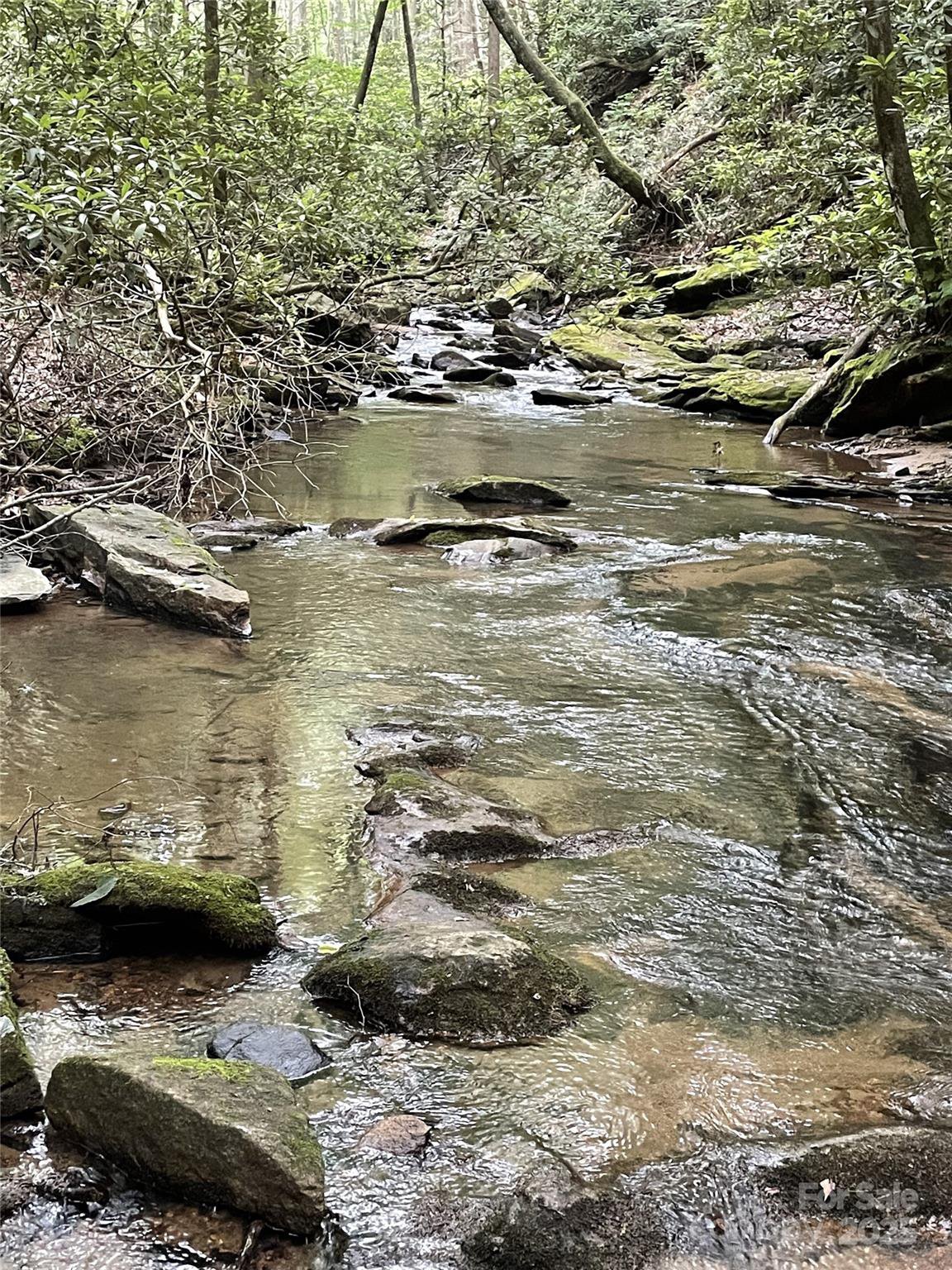 E Green Creek Drive, Tryon, 28782