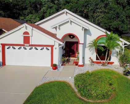 889 Crestridge Circle, Tarpon Springs