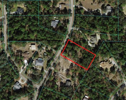 TBD Sw 209th Court Road, Dunnellon
