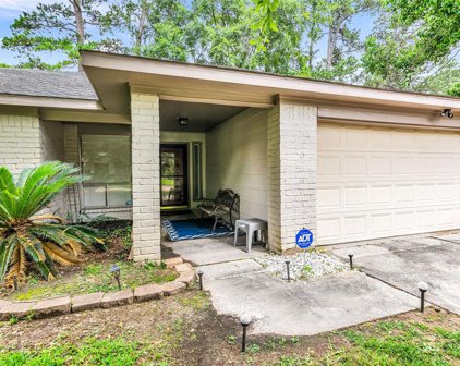 23014 Earlmist Drive, Spring