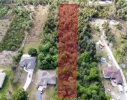 72nd Ave NE Everglades Boulevard NE, Naples image