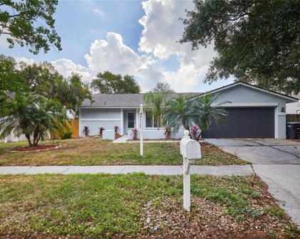 20 Harbor Lake Circle, Safety Harbor