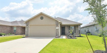 21223 Trumpet Lily Trail, Tomball