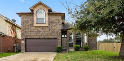 1007 Summer Wood Boulevard, Conroe
