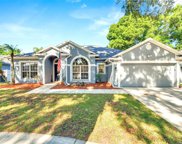 1531 Rolling Meadow Drive, Valrico image