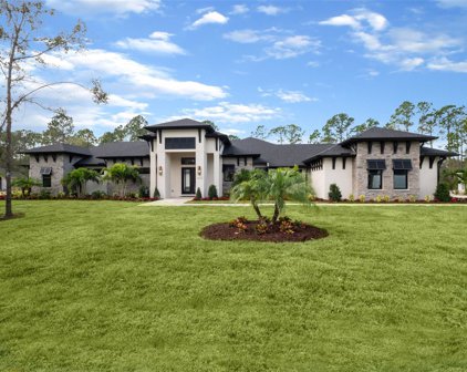 1612 Turnbull Crossings Drive, New Smyrna Beach