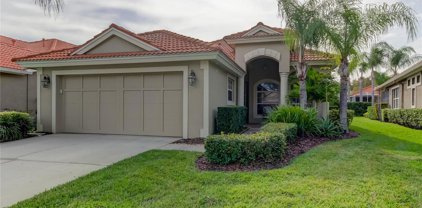 14525 Mirasol Manor Court, Tampa