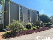 62 South Cove Pl. Unit 3C, Pawleys Island image
