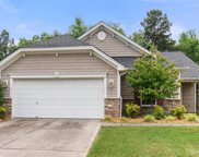 748 Ivy Trail  Way, Fort Mill image