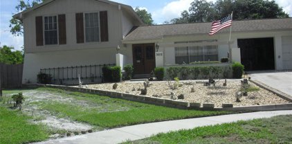 3103 Forest Knoll Circle, Tampa