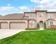 6559 Berrywood Drive, Downers Grove image