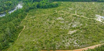 2561 JESSE JAMES POND ROAD Road, Wrens