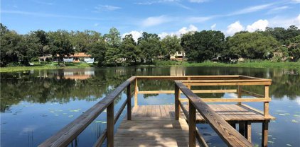 1743 Hour Glass Drive, Orlando