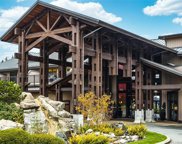 1175 Resort  Dr Unit #224 (B-2), Parksville image