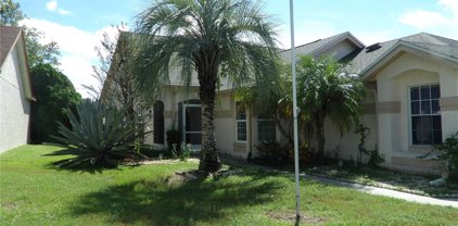 5872 Parkview Point Drive, Orlando