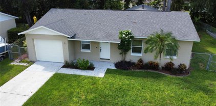 14109 Rutgers Avenue, Orlando