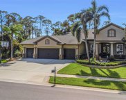 3668 Janus Way, Palm Harbor image