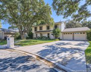 4658 Green Willow Woods, San Antonio image