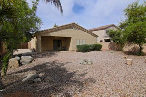 6285 S Salt Cedar Pl Backyard