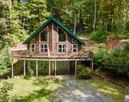 313 Kenneth's Cove, Topton image