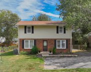 244 Old Shackle Island Rd, Hendersonville image