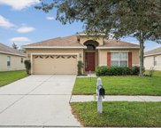 13317 Mandalay Place, Spring Hill image