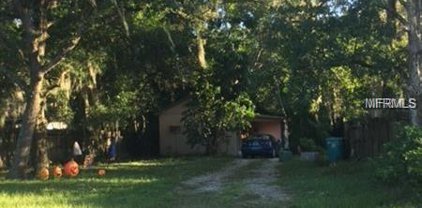 52 W Esther Street, Orlando