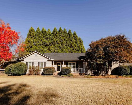 103 Cold Branch Way, Greenville