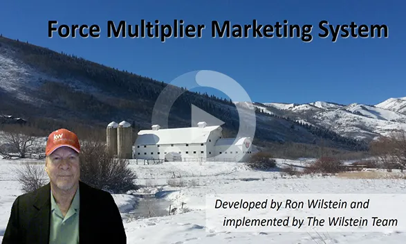 force multiplier marketing