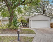 9 Harbor Cove Street, Safety Harbor image