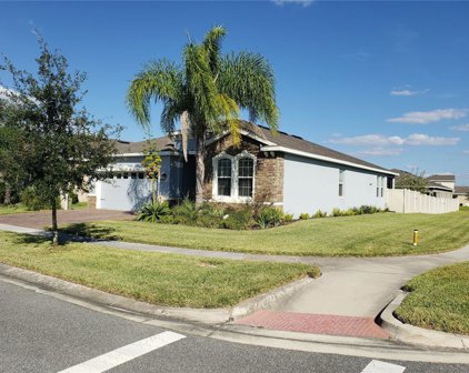 705 Golden Elm Drive, Apopka