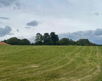 1158 Maxwell Branch Rd, Cottontown