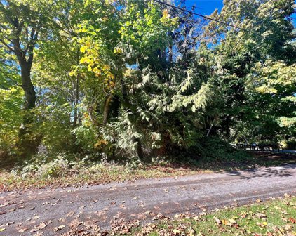 APA-Lot 2 Road, Point Roberts