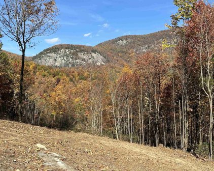 219 Craggy Rock Lane, Landrum