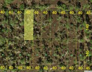 Lot 8 Inaccessible Track, Punta Gorda image